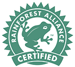 Logo Rainforest